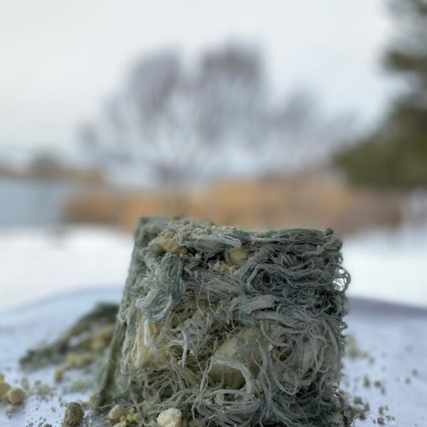 Yeşil (Göğermiş) Çeçil